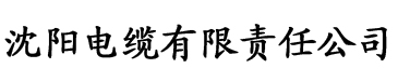 久久av线香蕉电缆厂logo